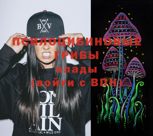 mdma Гатчина
