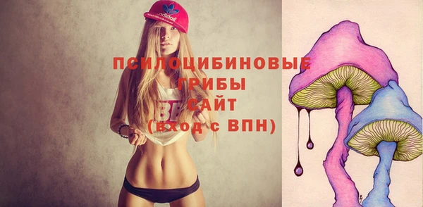 гашик Гвардейск