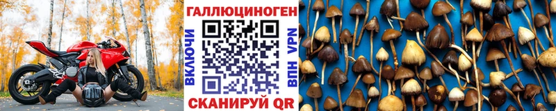 Галлюциногенные грибы прущие грибы  закладка  Емва 